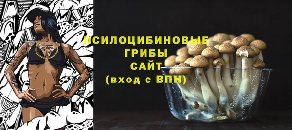 винт Алексин