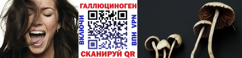 Псилоцибиновые грибы Psilocybe  дарнет шоп  mega зеркало  Батайск 